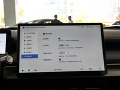2023款 Y 公务版