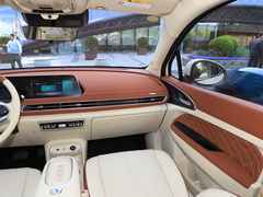 2024款 401km 豪华型
