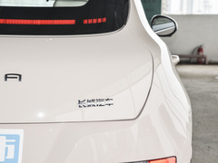 2024款 401km 豪华型