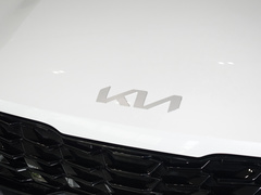 2024款 1.5L 豪华智享版