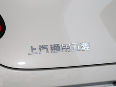 2024款 203km 轻享款
