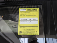 2024款 203km 轻享款