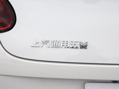 2024款 203km 轻享款