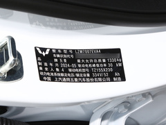 2024款 203km 轻享款