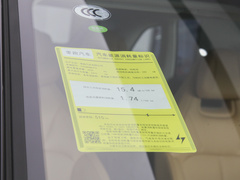 2024款 纯电 515智行版