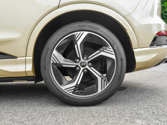 2024款 40 e-tron 冠军纪念版