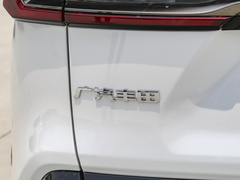 2024款 双擎 2.5L E-CVT两驱豪华PLUS版