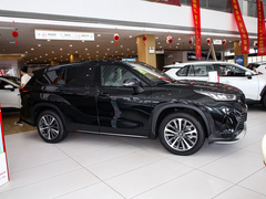 2024款 2.5L HEV四驱豪华版