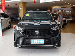 2024款 2.5L HEV四驱豪华版