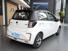 2024款 挚爱版 301km Lite 