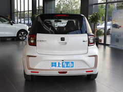 2024款 挚爱版 301km Lite 