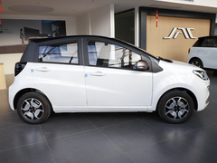 2024款 挚爱版 301km Lite 