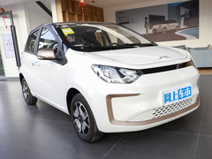 2024款 挚爱版 301km Lite 