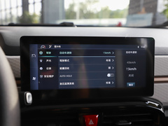 2024款 挚爱版 301km Lite 