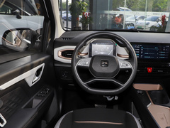 2024款 挚爱版 301km Lite 