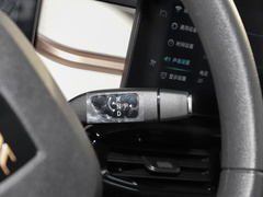 2024款 挚爱版 301km Lite 
