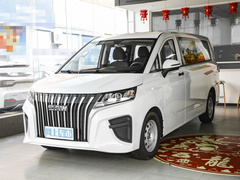 2024款 2.0L CNG精英版 7座