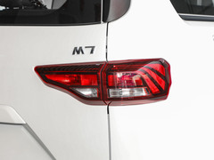 2024款 2.0L CNG精英版 7座