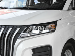 2024款 2.0L CNG精英版 7座