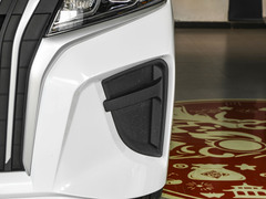 2024款 2.0L CNG精英版 7座