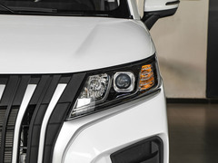 2024款 2.0L CNG精英版 7座