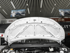 2024款 2.0L CNG中级营运舒适版 7座