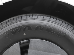 2024款  智富版中轴低顶66kWh