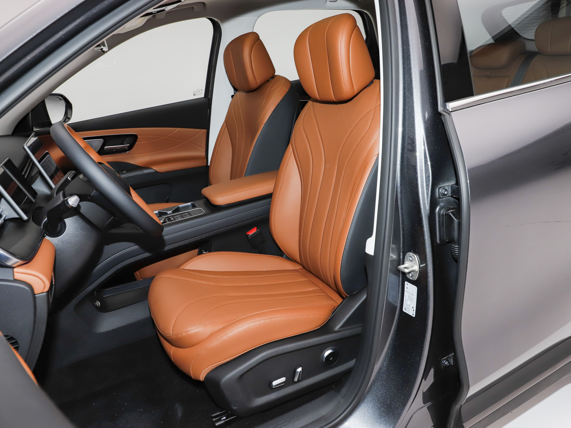 2026款 虎款 鲲鹏310TGDI 自动尊贵型