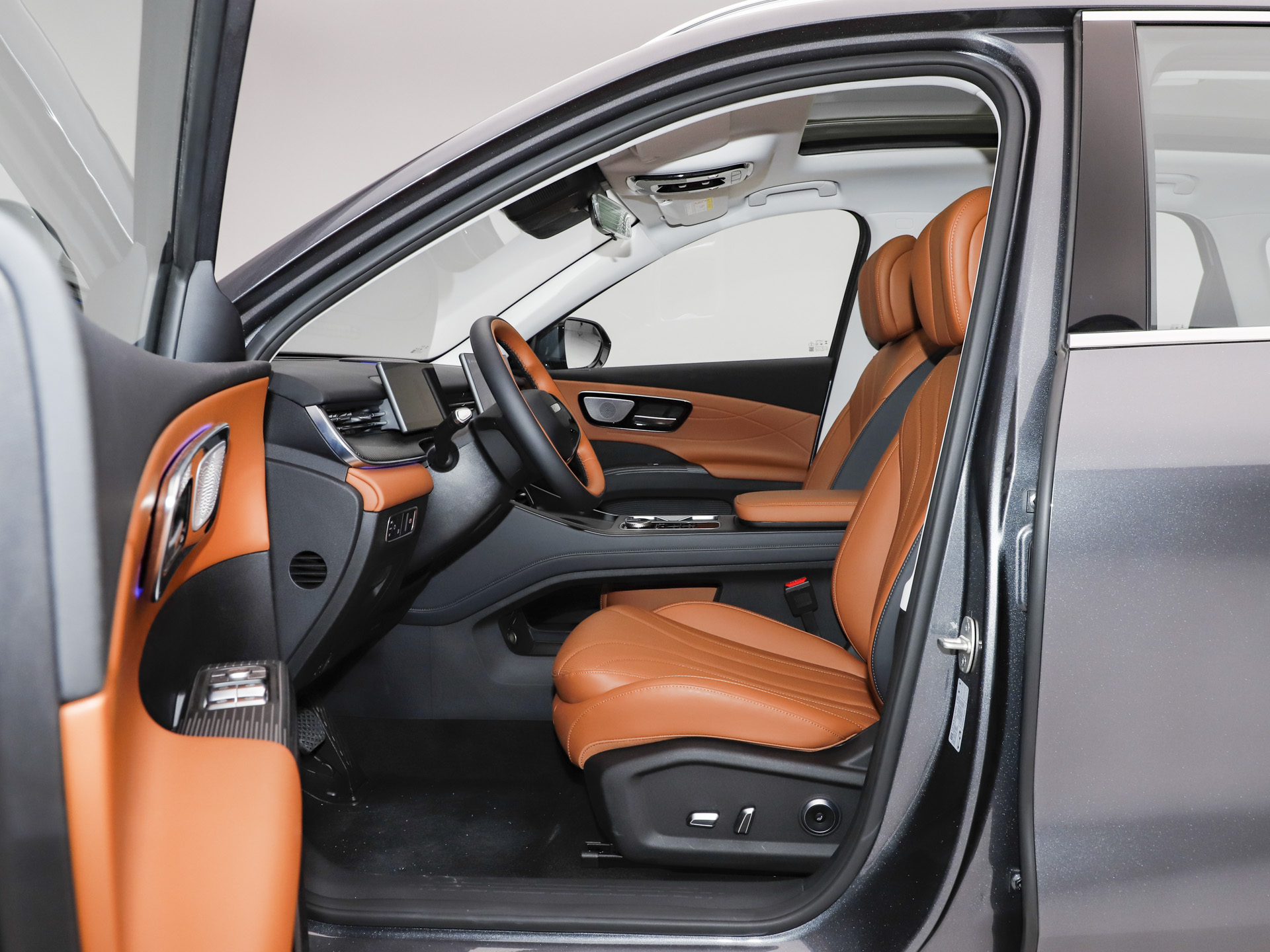 2026款 虎款 鲲鹏310TGDI 自动尊贵型