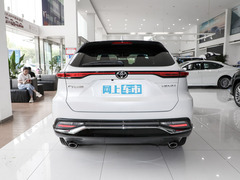 2024款 2.0L CVT两驱豪华版
