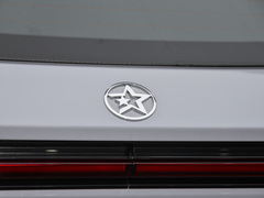 2024款 110km Pro版