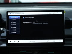 2024款 Younger 49.75kWh