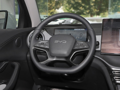 2025款 DM-i 115KM旗舰型