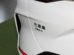 2025款 DM-i 112KM 尊贵型