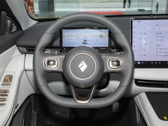 2025款 纯电 600km豪华版
