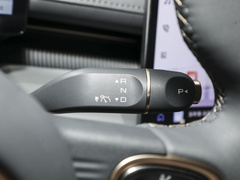 2025款 纯电 600km豪华版