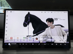 2025款 纯电 600km豪华版