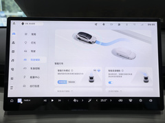 2025款 纯电 600km豪华版