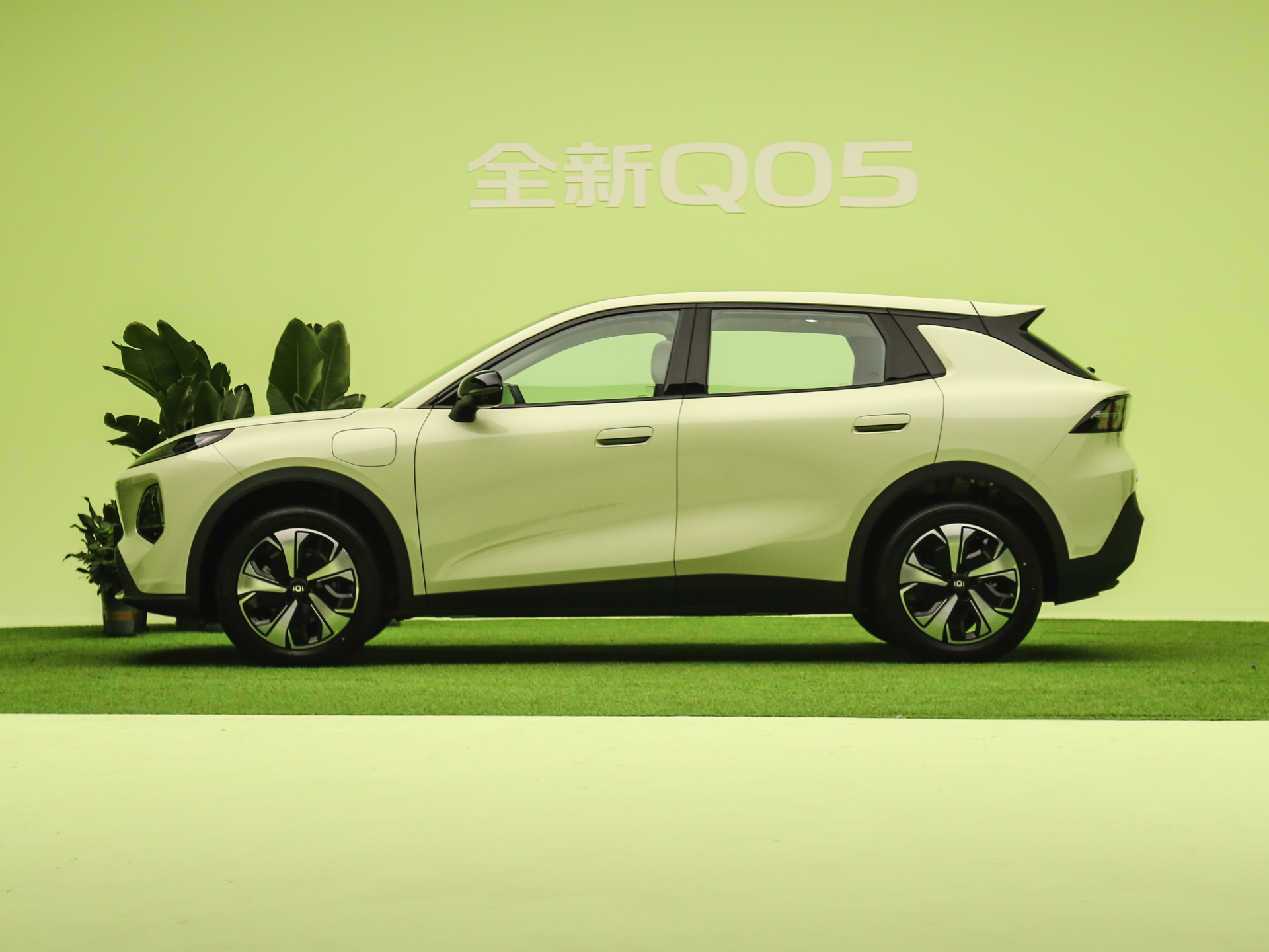 2026款 纯电 低配版