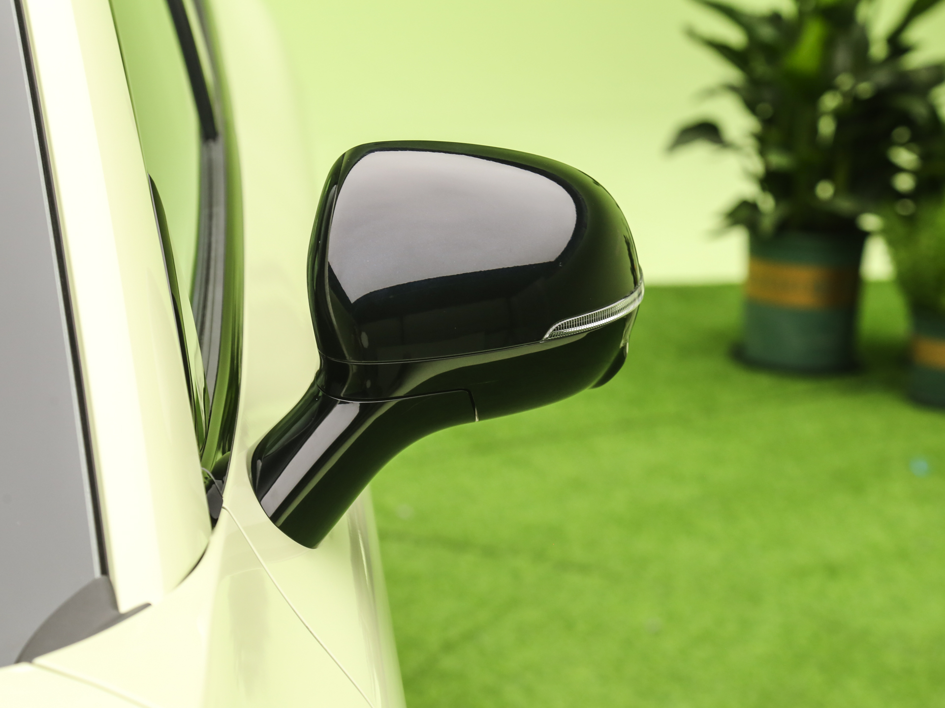 2026款 纯电 低配版