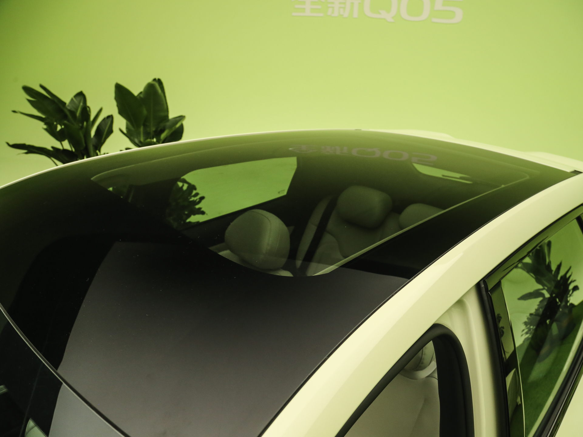 2026款 纯电 低配版