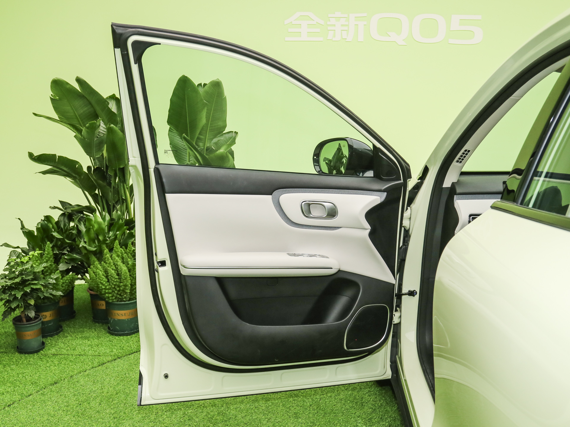 2026款 纯电 低配版