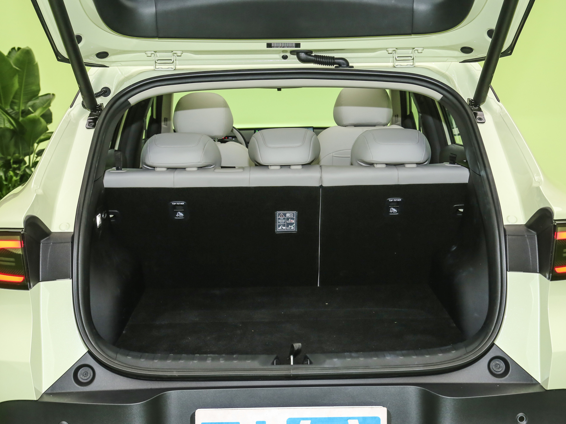 2026款 纯电 低配版