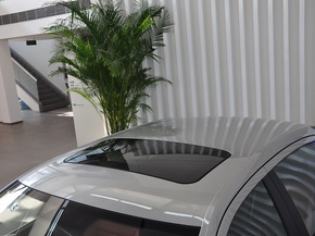 上海大众  1.4T DSG 车顶前部