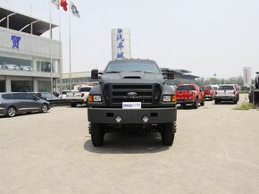 福特(进口)  F650 车头正面视角