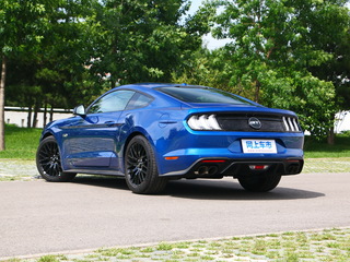 福特(进口)  5.0L V8 左后正45度