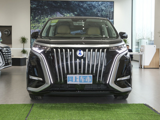 腾势汽车  EV 600