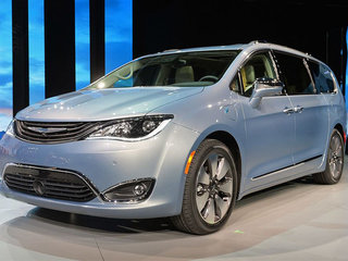 大捷龙（进口）图片