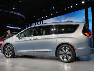 大捷龙（进口）图片