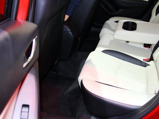 Mazda3(进口)图片